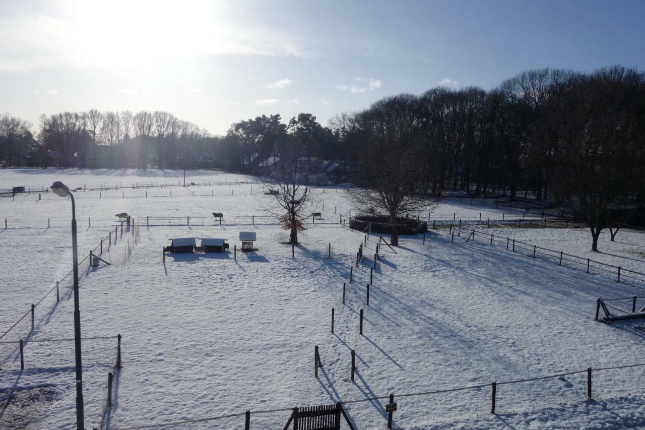 B&B Achterom Loon op Zand Exteriör bild