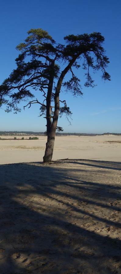 B&B Achterom Loon op Zand Exteriör bild